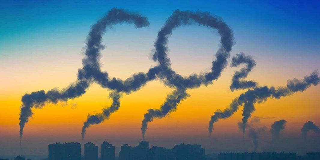 CO2-Bilanz verbessern trotz Konsum